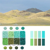 1#8 Grid Box | Зеленая серия 3 мм с твердыми окрашенными рисовыми бусинками 13 грамм на сетку, на общей сложности около 3400 штук