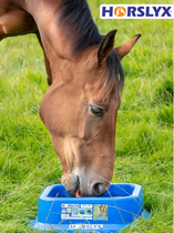 British imported sugar licking brick horse licking enhances emotions daily feeding high-efficiency nutritional supplements horse rewards