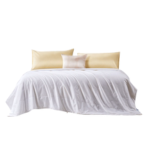 Fu Anna silk quilt pure cotton two-in-one mother-in-law quilt winter thick quilt to keep warm spring and autumn quilt core four seasons pure cotton silk quilt