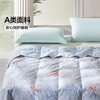 Fuanna 95% White Goose down Quilt Core Air Conditioning Quilt Spring and Autumn Bedding Summer Thin Quilt Bedding Summer Cooling Quilt down Quilt