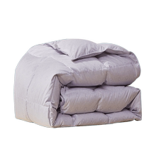 Fu Anna Down Quilt 50 White Goose Down Four Seasons Quilt Spring and Autumn Quilt Core Single Student Dormitory Double Winter Thick Quilt