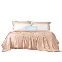 Fuana Mulberry Silk Quilt Core Summer Cooling Quilt Air Conditioned Quilt Summer Thin Quilt Real Silk Summer Quilt Summer Silk Quilt