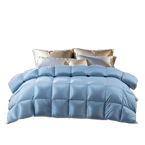 Fu Anna quilt down quilt four seasons quilt winter thick quilt student dormitory quilt spring and autumn quilt core air conditioning quilt duck down quilt