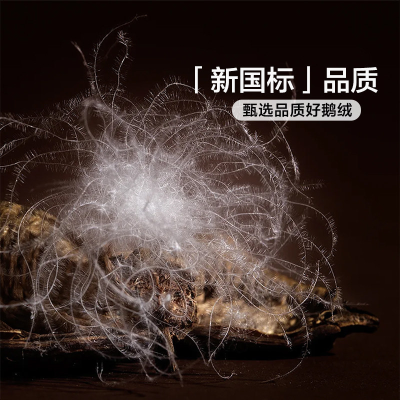 Fuanna Quilt, down Quilt, Winter Quilt, 80S Pure Cotton Spring and Autumn Quilt Core, Winter Thickened All-Cotton 95% White Goose down Bedding