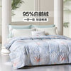 Fuanna 95% White Goose down Quilt Core Air Conditioning Quilt Spring and Autumn Bedding Summer Thin Quilt Bedding Summer Cooling Quilt down Quilt