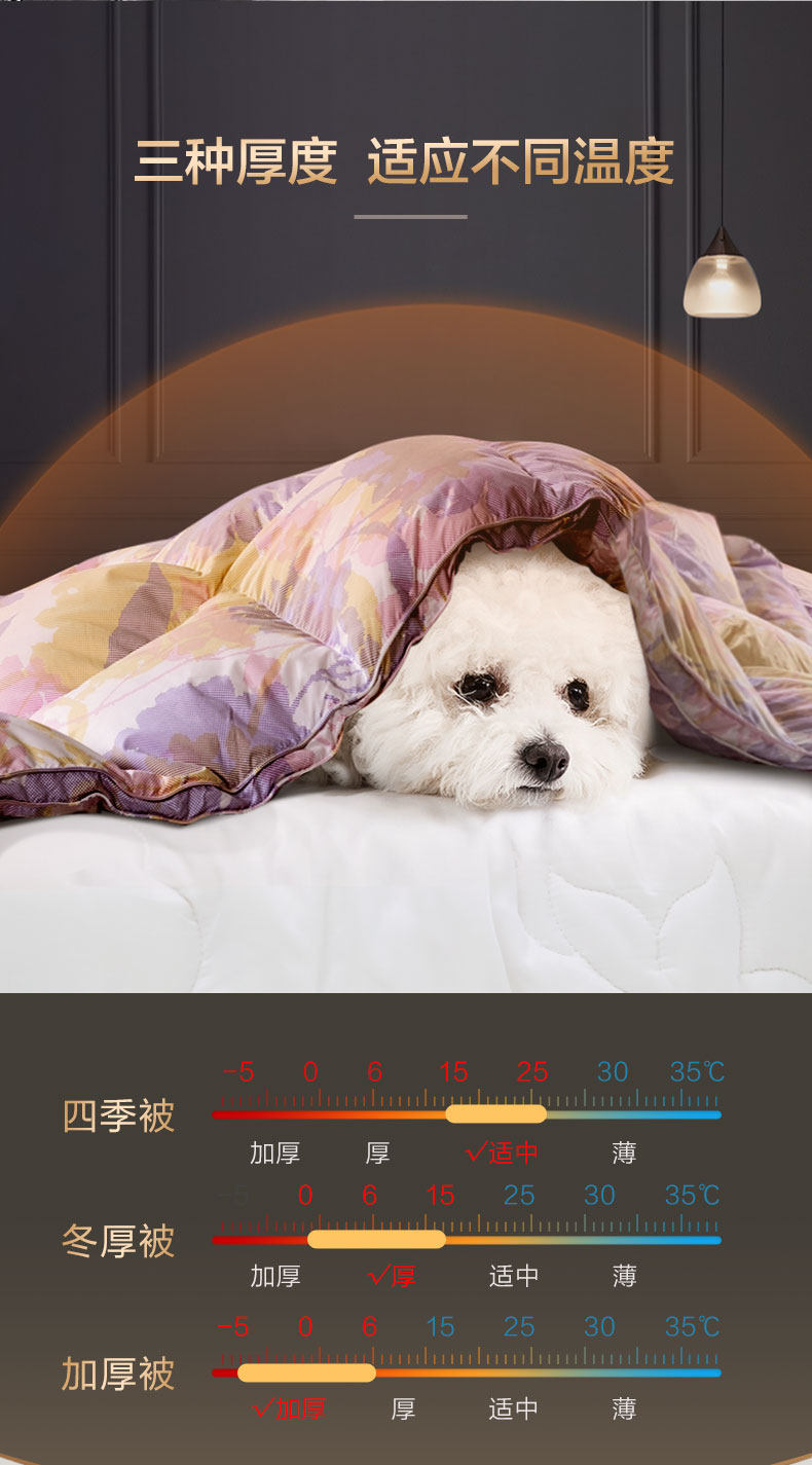 富安娜 抗菌羽绒被 95白鹅绒 图4