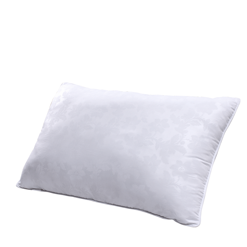 ������ʥ֮����ͷ��о843000087