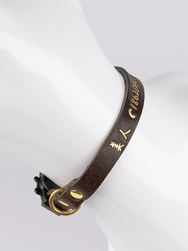 Сосновая рука -приготовленная кошачья анти -зафотационная шея.