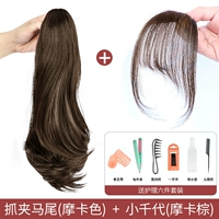 Снижение возраста сбора хвостика [Mocha Color]+Xiaocai Dai Bangs [Mocha Brown]