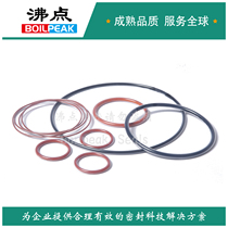 Fdian acetone-resistant chemical medium-resistant PTFE double-layer coated O-ring PTFE-coated O-ring