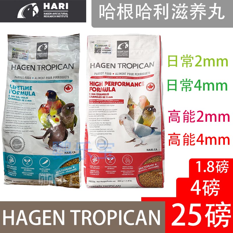 High-energy Fruits Mini Mini mini-grain original Hagen Halihime Phoenix Peony Tiger Leather Parrot Nourish the full series