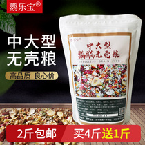 Parrot Lebao parrot shellless grain shell feed parrot nourishing pill mixed grain nut grain bird food 1kg