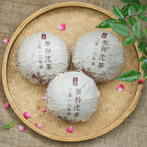 Оригинальный чай Liubao в 2013 году Mingqian Tea Buds нажаты на чай Туо Традиционный ремесленник богатый вкус ореховой орех, аромат мед меда, аромат