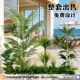 Simulated Green Plant Landscape, Tropical Plant Landscaping Combination, Restaurant Store, Shopping Mall Window Decoration, Coconut Tree, Fake Green Plants