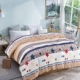 Mùa đông cộng với nhung san hô flannel quilt cover đơn mảnh sang trọng dày ấm sinh viên Fale quilt cover đôi chăn tuyết nhung