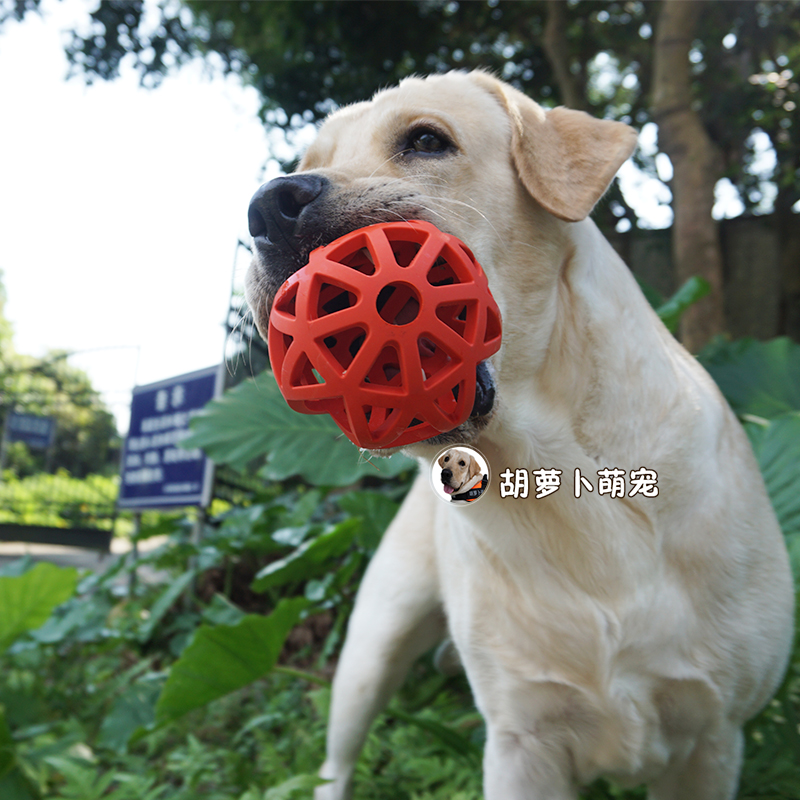 Dog grindle resistant to bite toy rubber cleaning tooth ball with large dog puzzle pet toy Labrador gold wool ball-Taobao