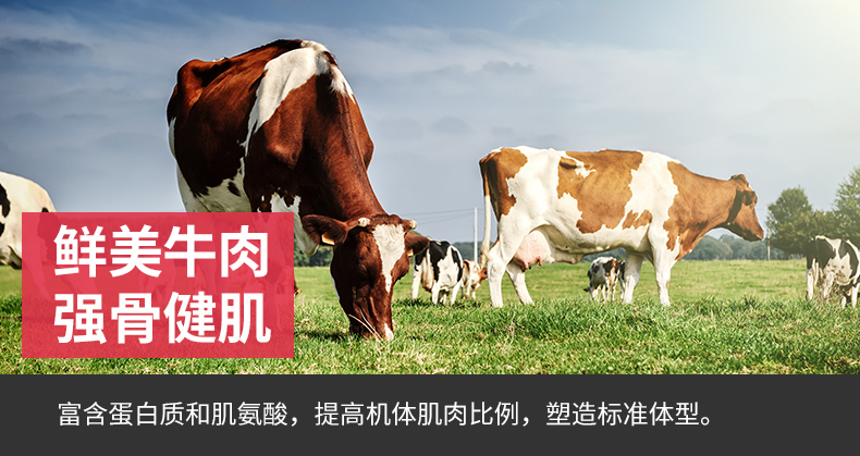 Hơn chó trưởng thành thức ăn thịt bò trái cây và rau làm đẹp tóc Jinmao Labrador vừa và chó lớn thức ăn tự nhiên xé 15kg - Chó Staples hạt cho chó con