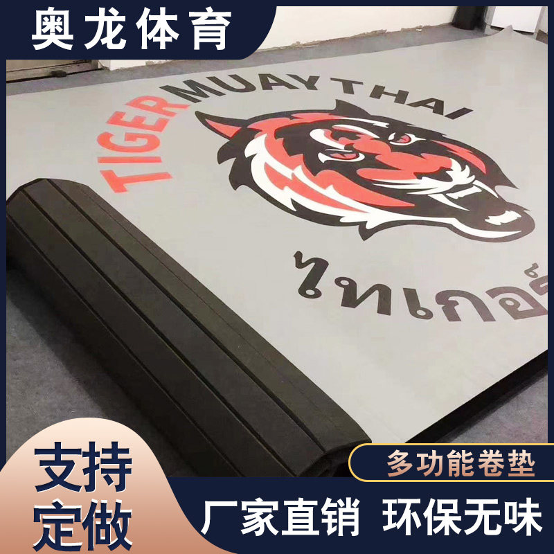 Wu Pavilion Ground Mat Ground Mat Taekwondo Scattered training Boxing style Wrestling Ground Floor for Anti-Slip Soundproofing Mat