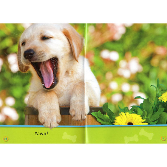 Entry-level 123-stage American National Geographic graded reading NationalGeographickidsPreReaders children's popular science encyclopedia full-color version of the elementary starting animal series graded reading picture book