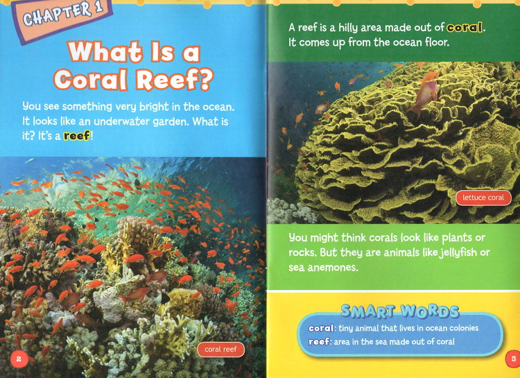 Smart Words Beginning Reader Ocean Animals 5 Volumes Stem