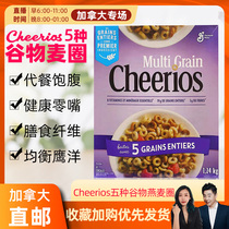 cici Canada Cheerios Grain Oat Ring 1 24kg