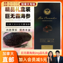 cici brand Straight Hair Boutique gift box giant sea cucumber 1 pound