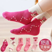 【Сладкий медведь】 5 пар чистого хлопка без костей