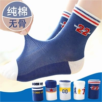 [Четка без костей C -Шпорты Tezen C] пять дублей