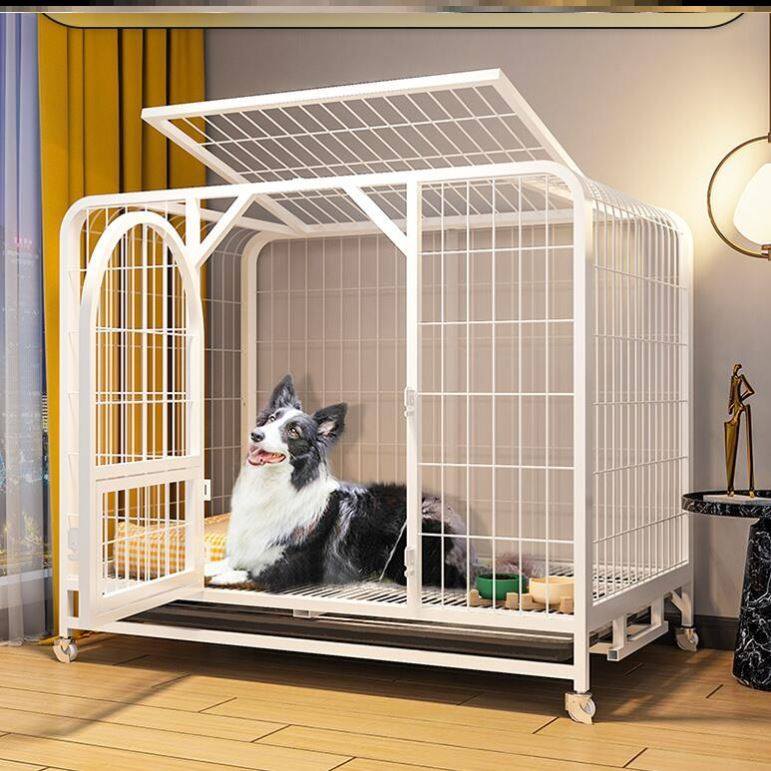 Teddy dog cage square portable with special home puppy small out of the house with pets for kitty.