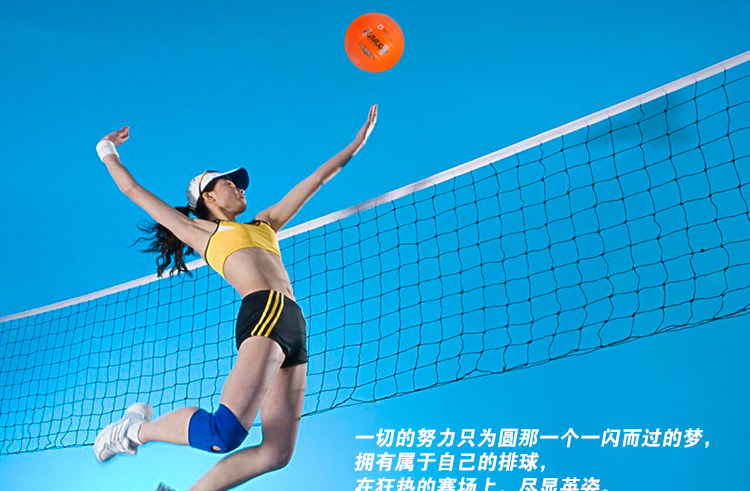 Ballon de volley - Ref 2013390 Image 5