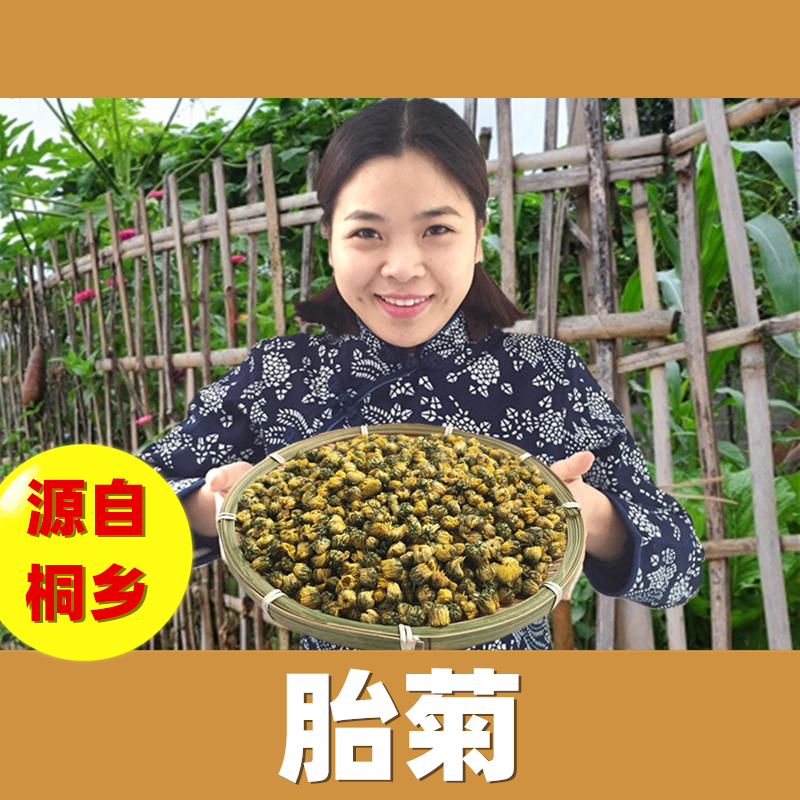 Tongxiang origin fetal chrysanthemum king head picking hang white chrysanthemum chrysanthemum tea chrysanthemum super grade fetal tribute chrysanthemum king batch bulk 50g
