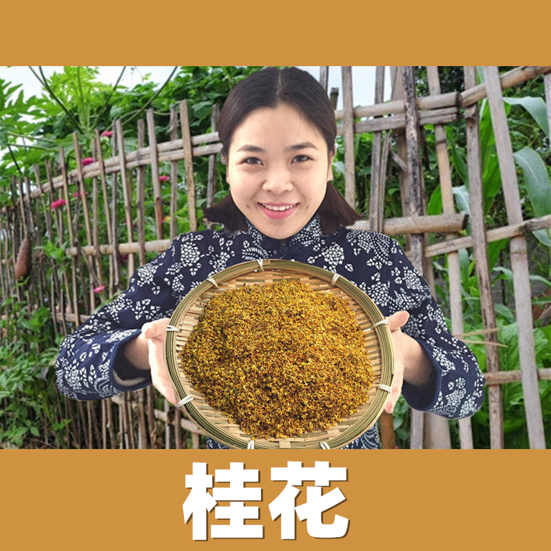 (Arbitrary 4 pieces) Guangxi Guilin No sulphur Guihua tea gold osmanthus dry drying osmanthus bulk 50g can be approved