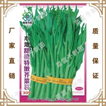 (Mustard moss seeds)Zilong seeds Local sweet crispy and tender mustard moss 305 balcony vegetable garden planting