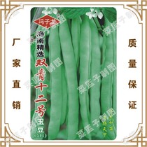 (Green bean seeds)High shovel climbing vine vegetable seeds Hainan selected Double green No 12 jade beans(511)