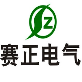 浙江赛正电气