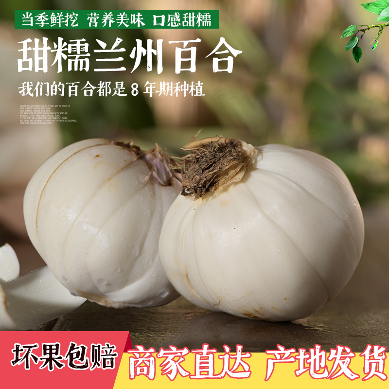 2 catties of fresh lily Lanzhou fresh lily Lanzhou lily fresh lily Gansu edible sweet lily