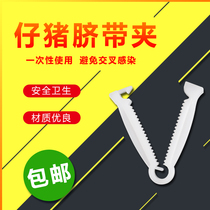 Beast with piglet umbilical cord clip disposable piglet with umbilical cord clip piglet guard cord with small pig umbilical cord clip cutting machine