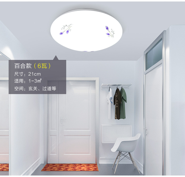 Light led aisle personality suction top light Living room Cherry Blossom section 26 cm Industrial diameter 50cm All white