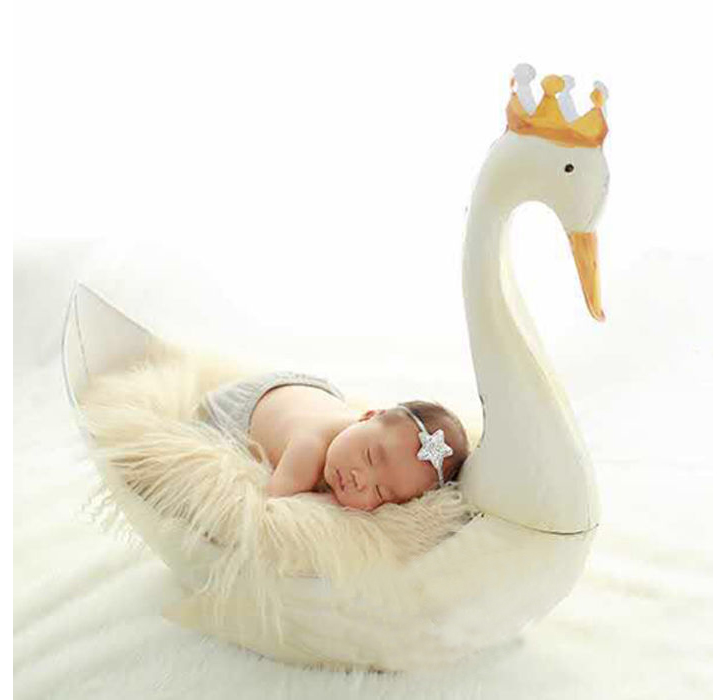Children's photography props wrought iron white swan KD exhibition new newborn baby photo props