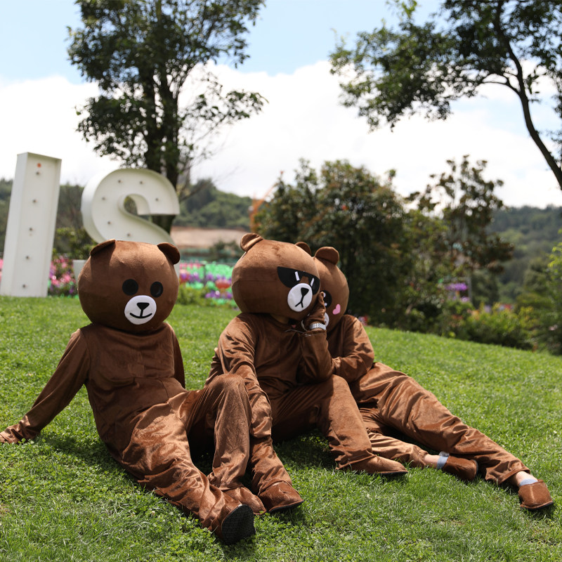 Rental Net Rent Rough Brown Bear Costume Taxis Animal Passport Cardcard Bear Toy Doll