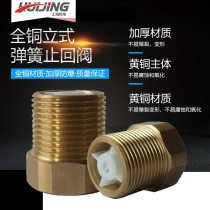 Full copper thickened internal and external wire check valve 1 inch water pipe water meter spring check valve vertical stop check valve