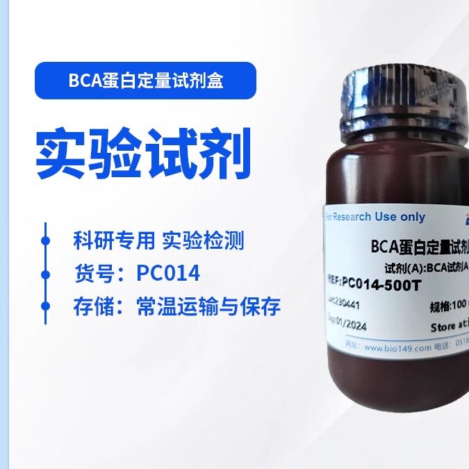 BCA蛋白定量试剂盒  PBS溶液 蛋白定量  可定制   检测试剂