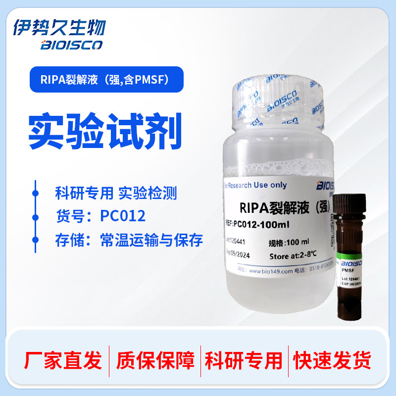 伊势久生物 生物试剂 RIPA裂解液（强） 细胞裂解液  提取蛋白