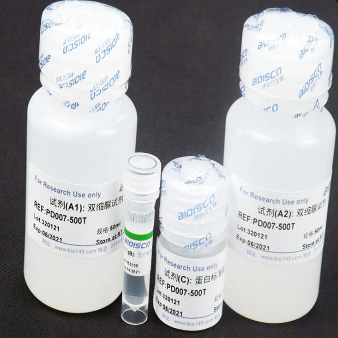双缩脲蛋白定量试剂盒 500T 现配溶液 高品质 科研专用厂家直销