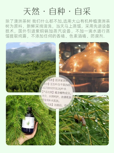 Гидролат, спрей от черных точек, влажный тонер, 500 мл, скрывает прыщи