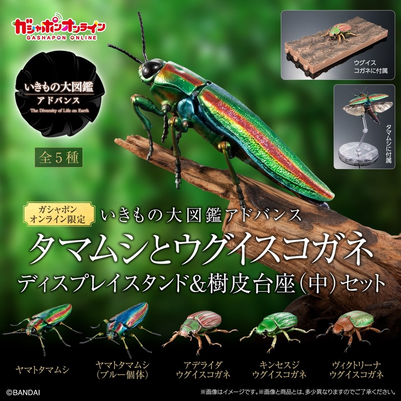 (Bandai.Com Exclusive) Biological Encyclopedia: Stag Beet and Scarab Beetle Collectible Model Figurine