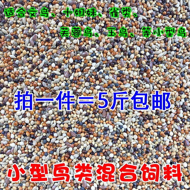 Seven Colorful Bird Hibiscus Birds Golden Silk Nestling Birds Jade Birds ten Sisters Birds Mixed Birds Food and Bird Food Feed