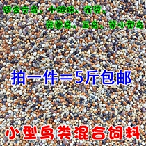 Colorful green bird hibiscus bird canary bird Pearl bird Jade Bird ten sister bird mixed bird food bird food feed