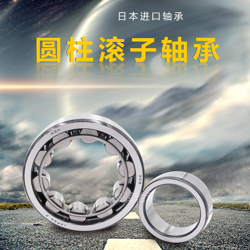 Imported NSK cylindrical roller bearings N 1012 1014 1017 1020 1021 1021 1022 EM