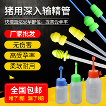 Pigs with disposable deep vagina bottle for pigs in pigs with pigs for pigs